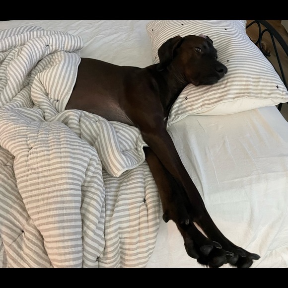 Meet your Posher, - Picture 2 of 2